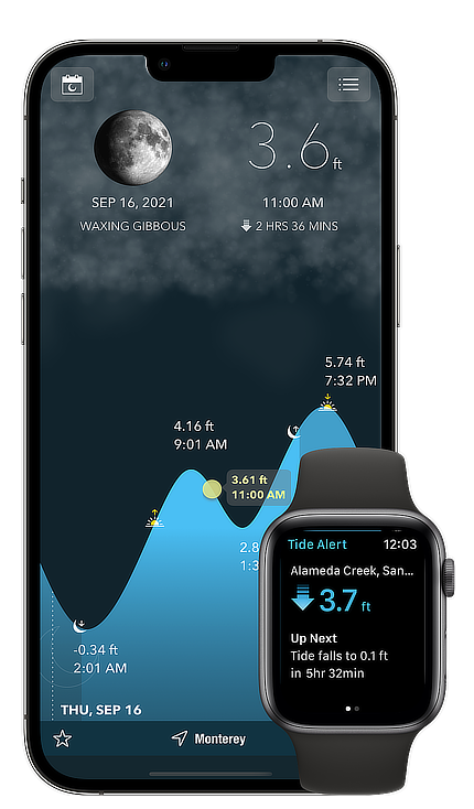 Tide Alert iPhone App Interface