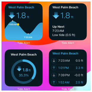 Home screen widgets and Apple Watch complications