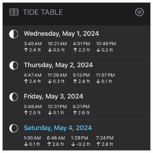 Monthly tide table with calendar view